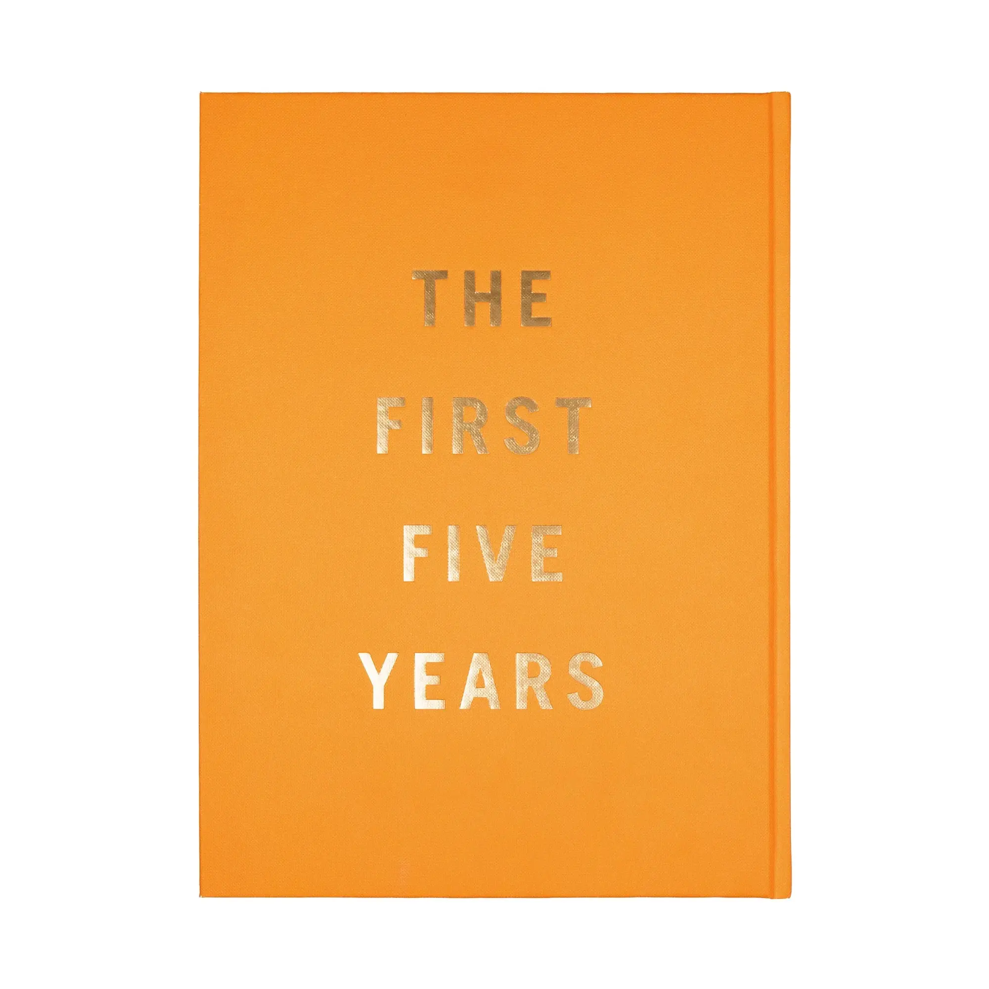 THE FIRST 5 YEARS - Image 4